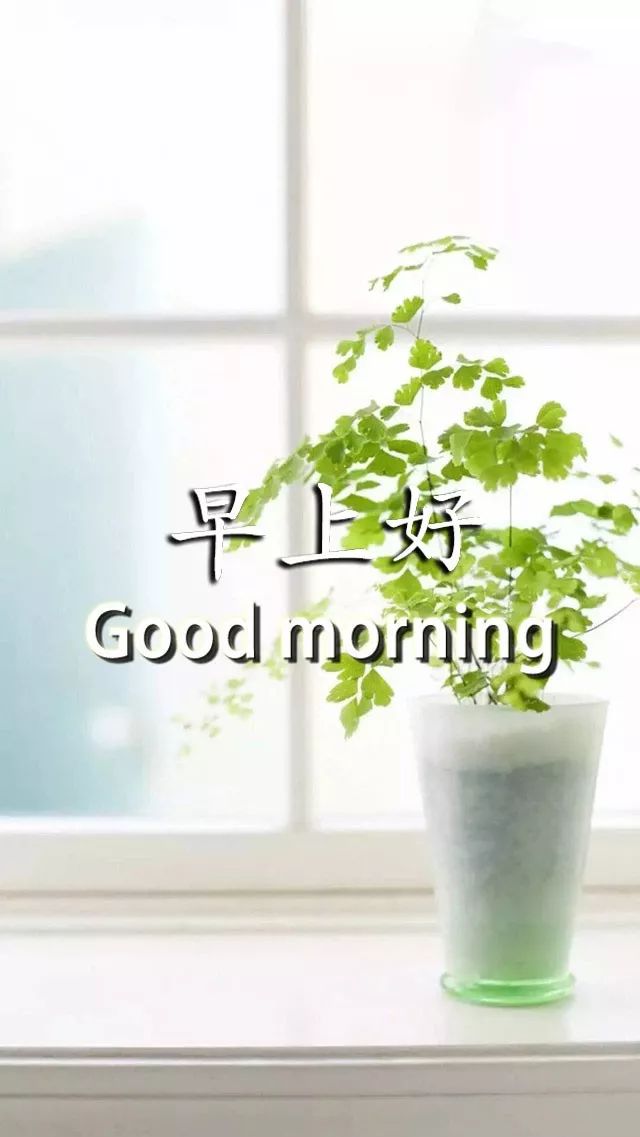 新的一天问候大家早上好动态表情包 愿你开心笑，添福添寿添逍遥图片