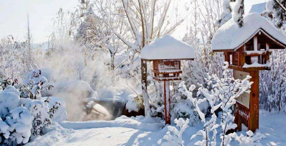 【诗词鉴赏】飞雪逗年华，十二首对雪的诗词，​让我们欣赏最美的雪