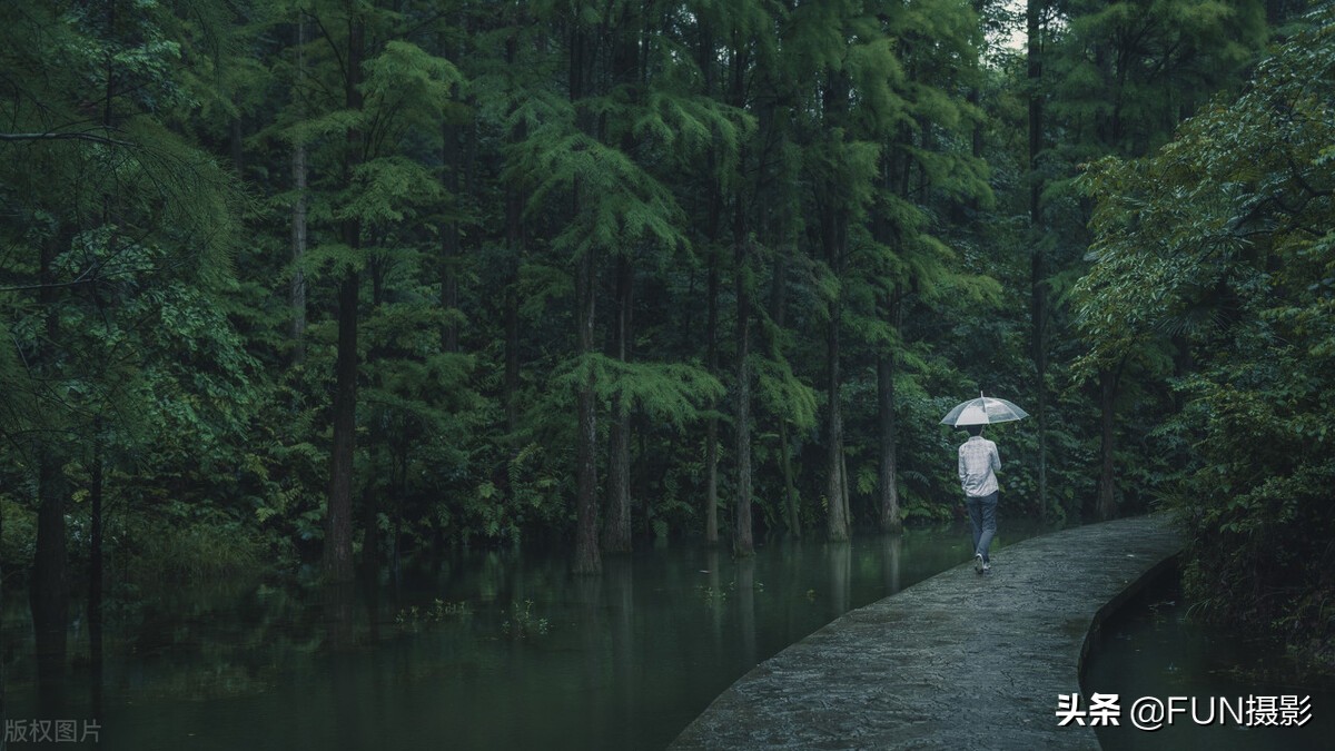 學這6個技巧，下雨天也能拍出具有故事感的攝影大片，含拍攝參數