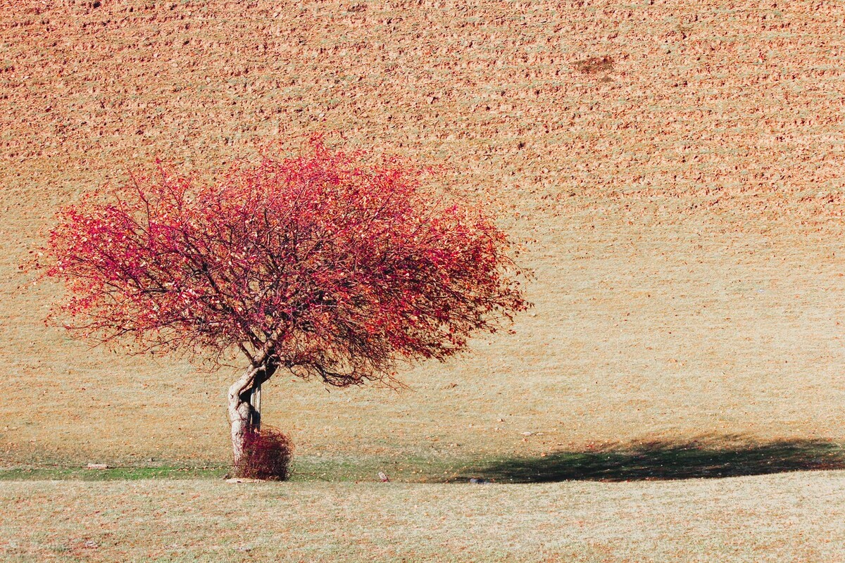 「破镜重圆」的言情好文推荐！甜中带虐，相爱的人，终会相守