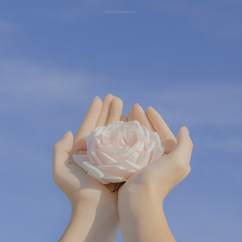 30-40岁女人微信名大全高雅(气质优雅昵称)|三国之家