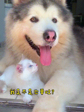 爸，你旁边的叔叔好帅，爸爸：这是你妈，网友当场笑喷了，哈哈哈