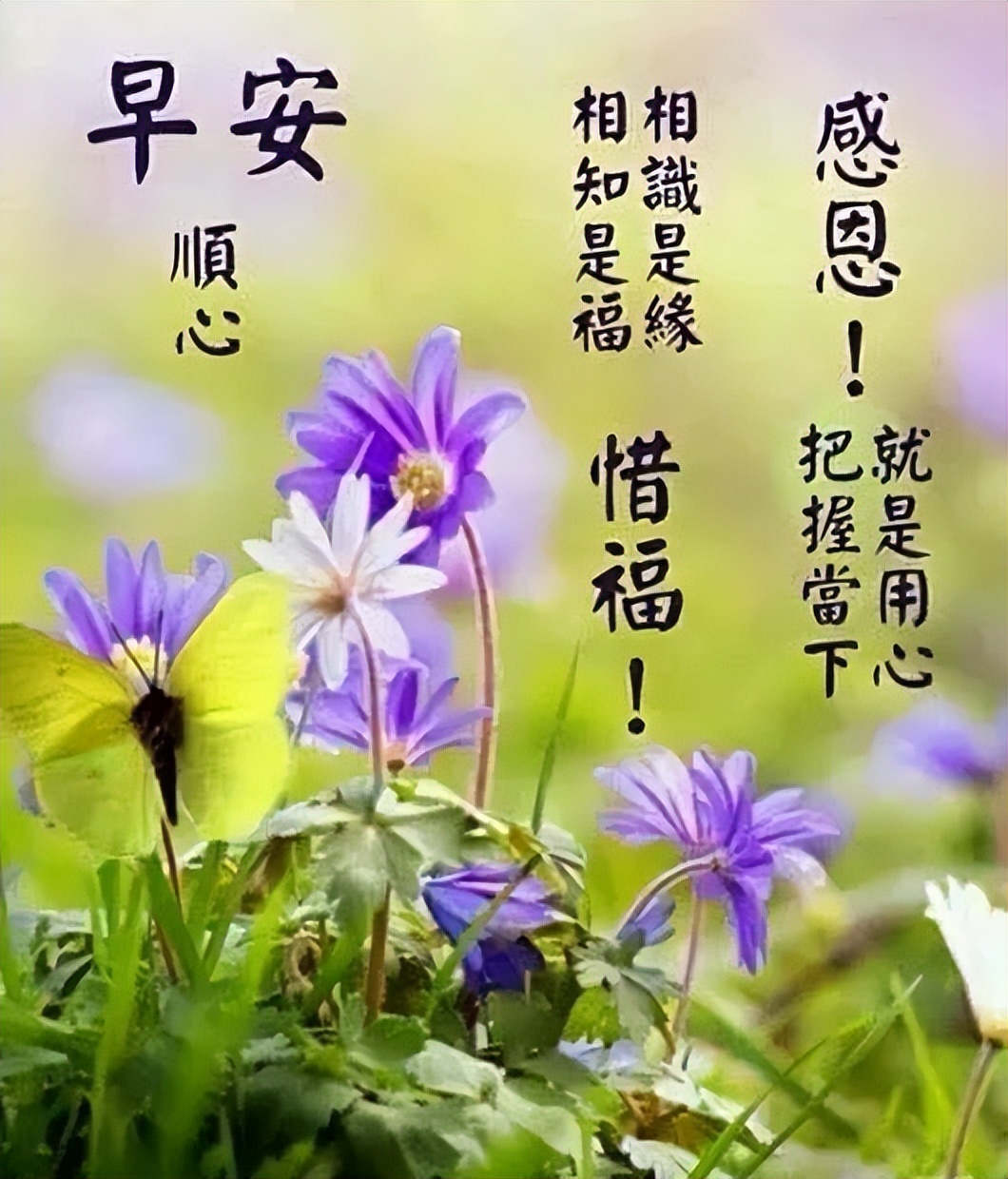 早上好阳光祝福语图片早安心语 放手过去、享受现在、拥抱未来图片