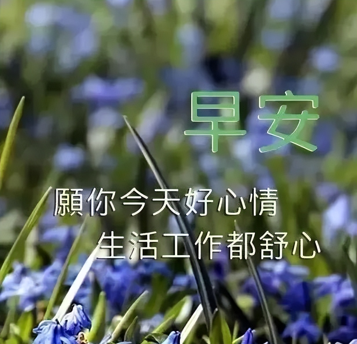 朋友圈暖心早上好问候语简短大全 愿你今天好心情 生活工作都舒心图片