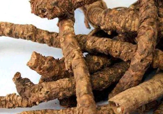 物美价廉的盐酸小檗碱（黄连素），有多种功效，怎样合理使用？