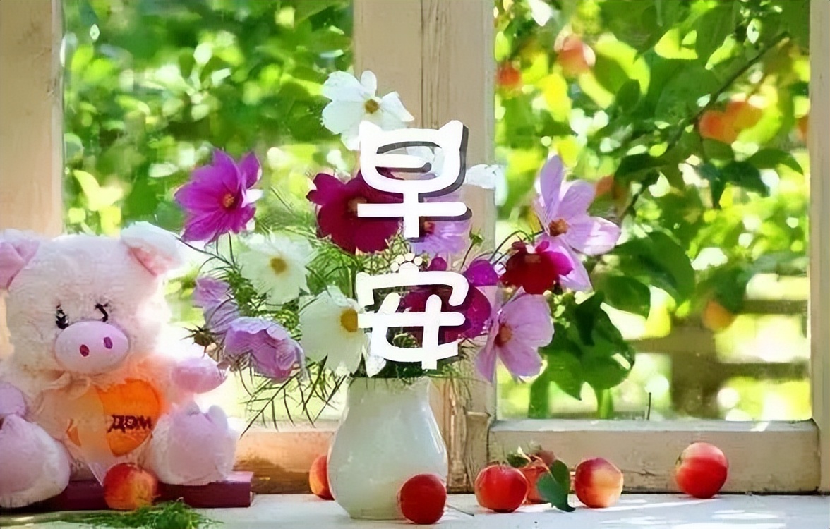 微信温馨早上好问候图片动态带字 美好的一天从感恩开始图片