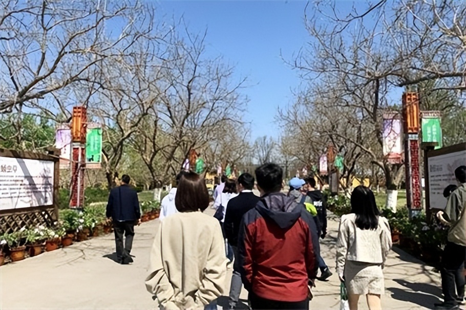 国风牡丹节 慢文化之旅 | 大兴安定御林古桑园媒体品鉴会圆满落幕