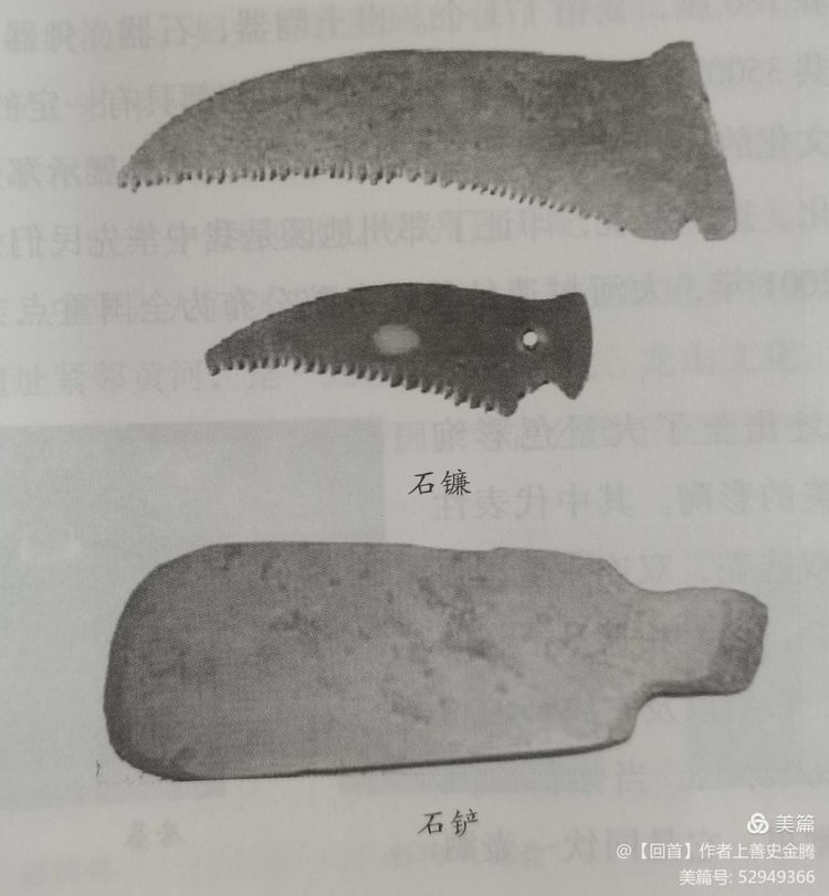 《记忆中的老郑州》文化底蕴之二一一裴李岗文化