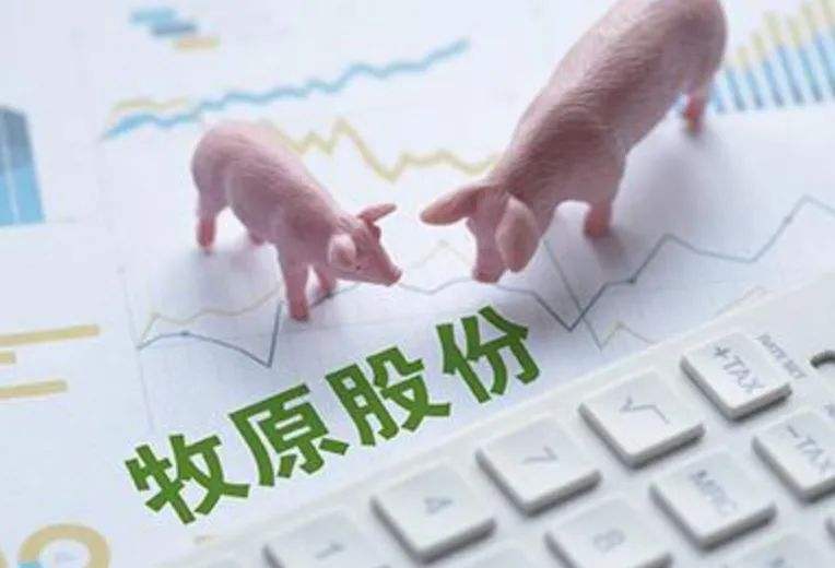 牧原股份的问题主要还是杠杆用得太猛，财务造假的可能性不大