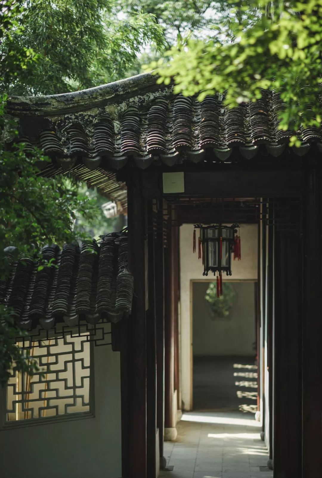 苏州园林特辑 | 待春暖花开之时，相约绝色江南，来一场寻梦之旅