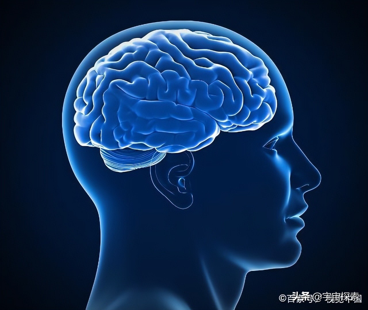 身体来自父母，那人类的意识又来自哪里？答案或许并没有那么简单