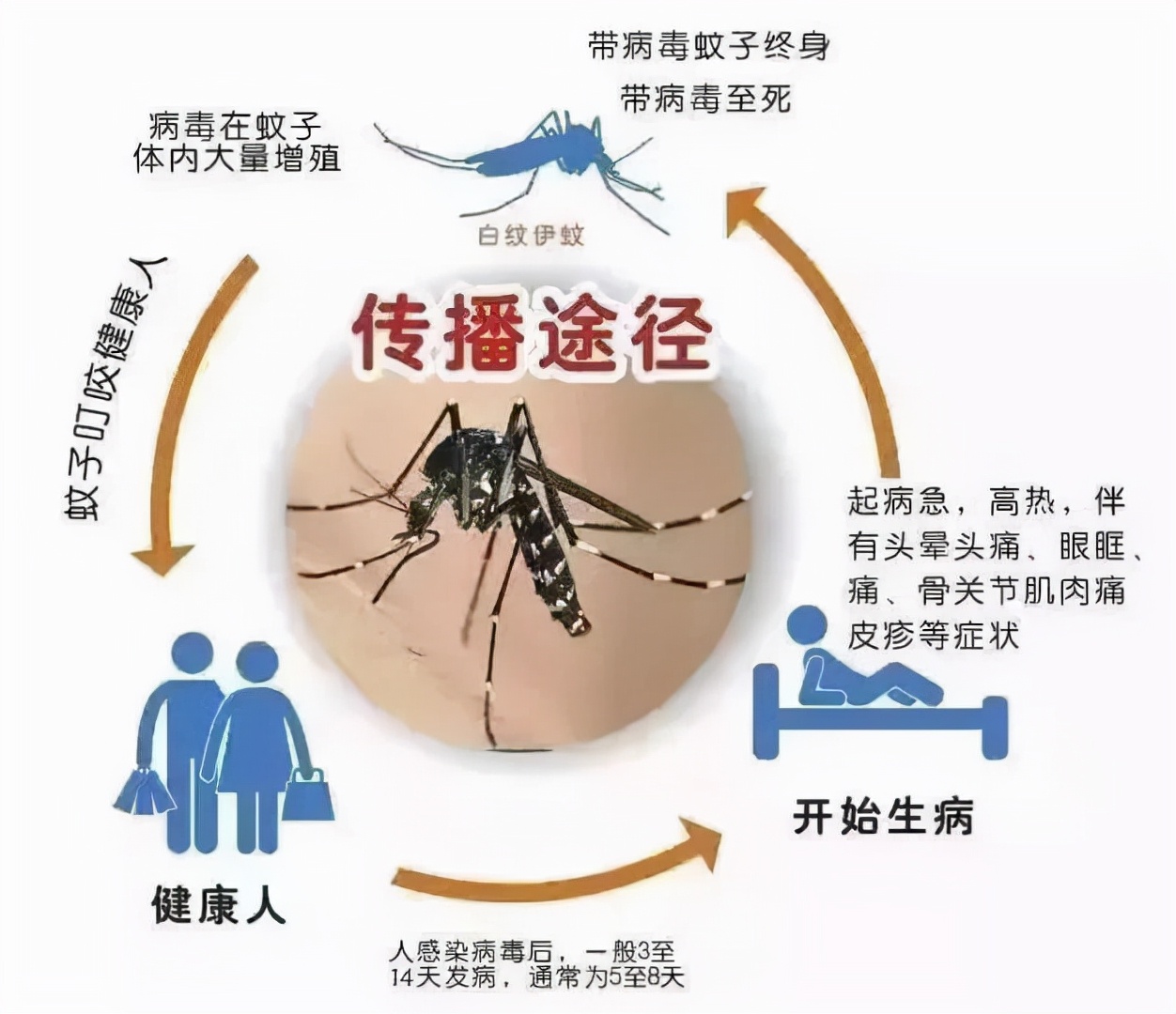 盘点史上最可怕的十大病毒，新冠王未上榜，艾滋毒仅排在第三位。