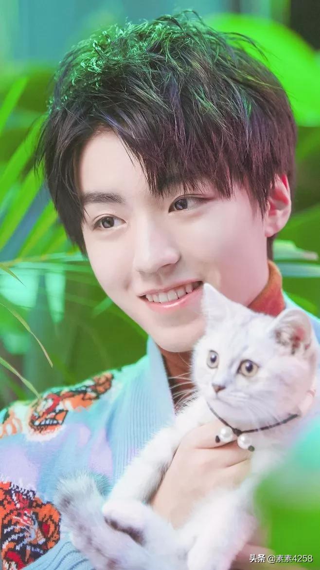 中国内地歌手、影视演员王俊凯