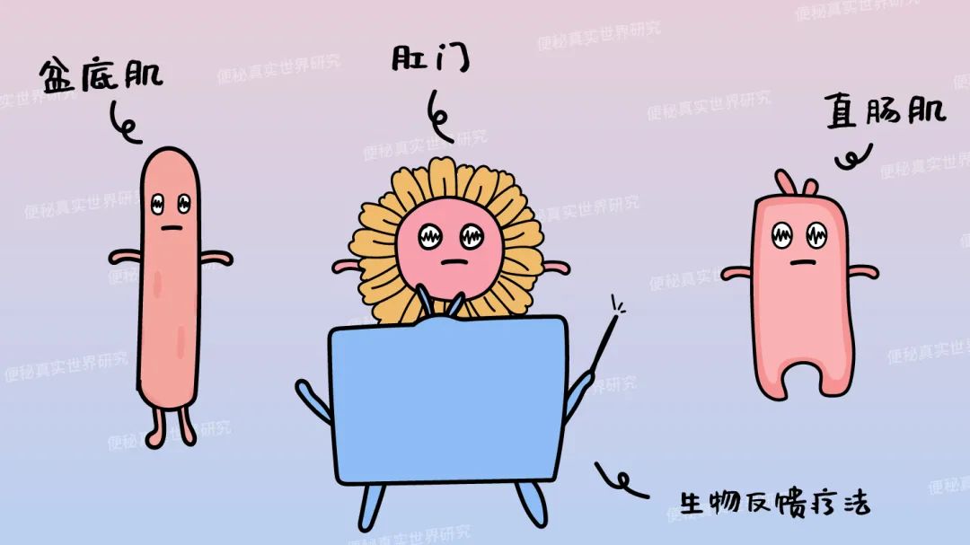 上厕所像"挤牙膏",出口梗阻型便秘到底该怎么办?