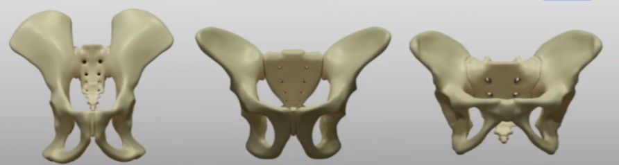 ����������������ѧ�ң�����21���²����£���������10�»�̥