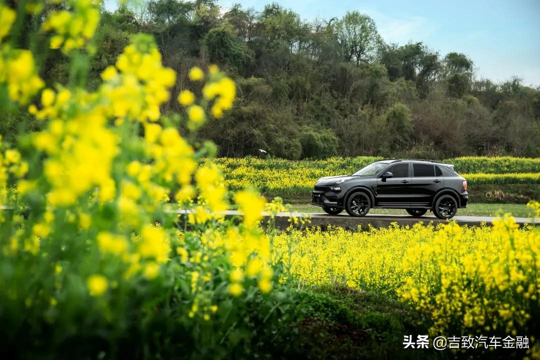 汽车贴膜起泡？就要这么办