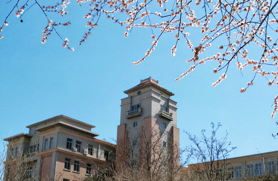 渤海大学长年诚聘博士及在读博士