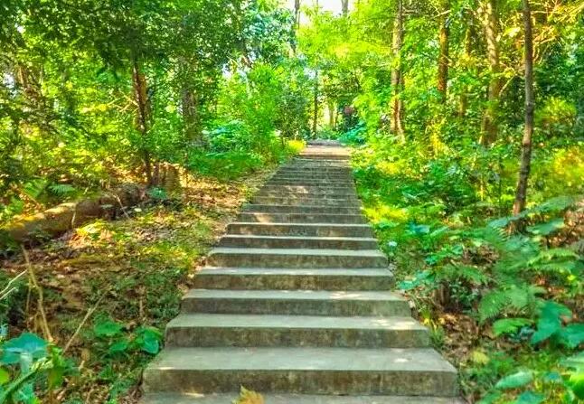 广州这8个地方太美啦，特色不一还免费