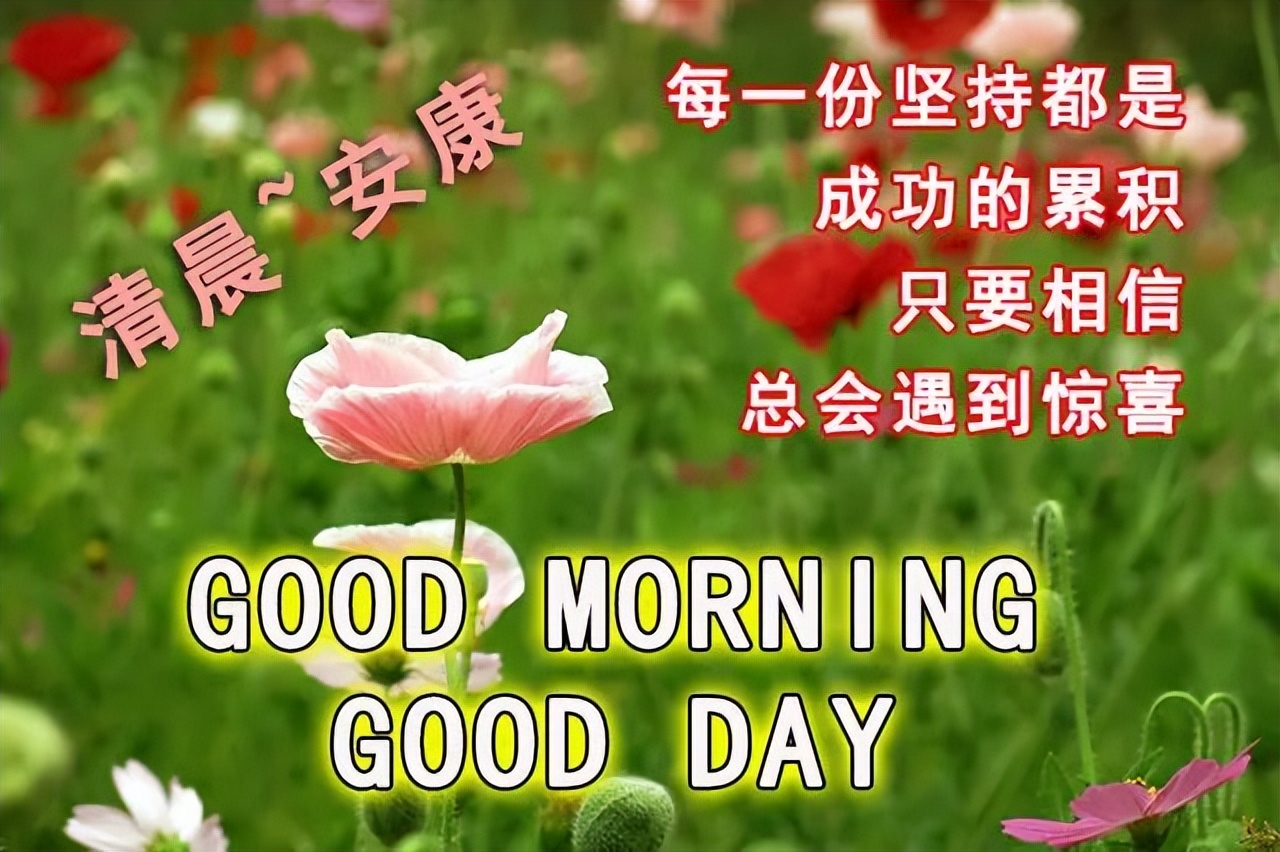 早上好朋友 最新早安动态表情图片 温馨早上好祝福语录 愿山河无恙图片