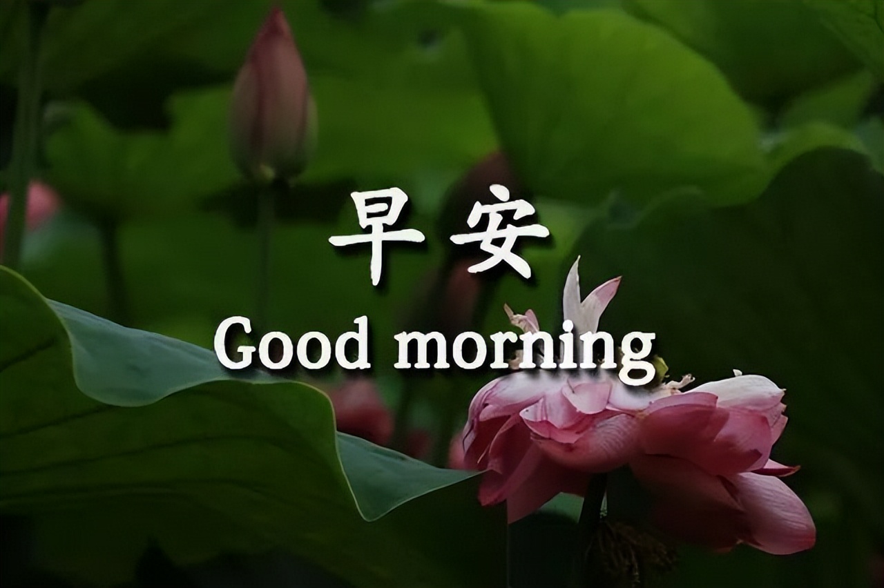 早上好图片带字 早上好问候动态表情图片 快乐活在当下 尽心就是完美图片