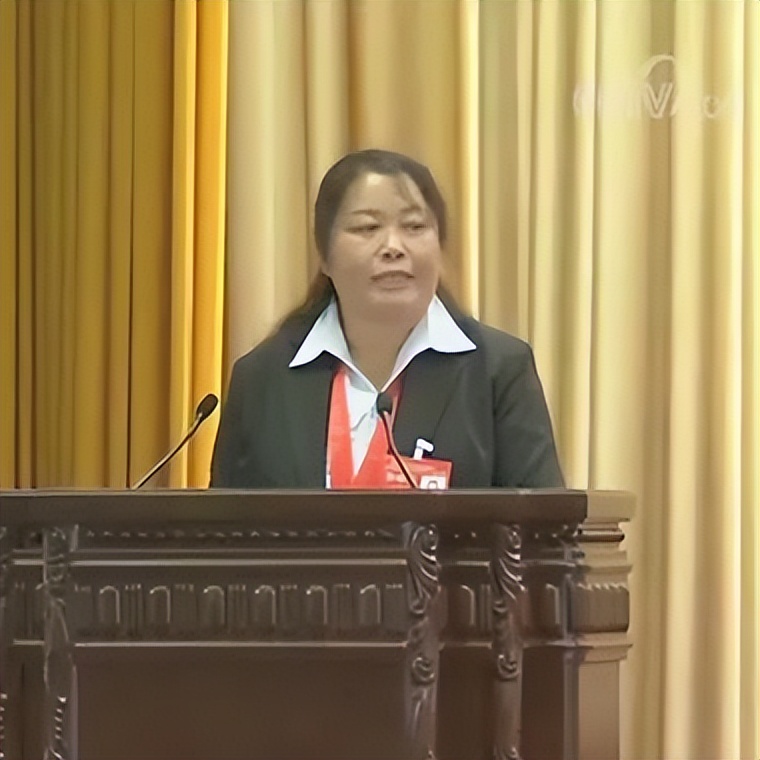 为什么可以报考河北师范大学？