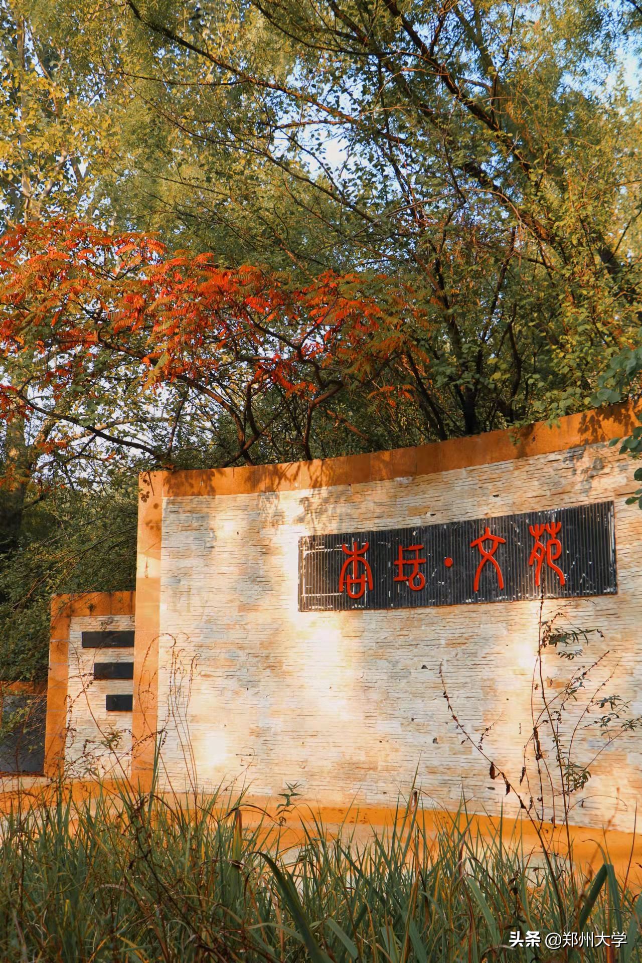 由心之所向，追梦之无悔！