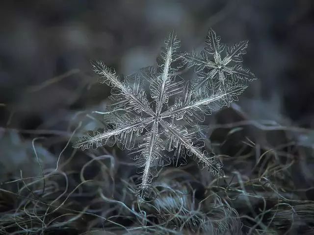 唯美雪花！