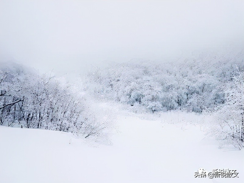 作为一个南方人，我想问一句：你那里下雪了吗