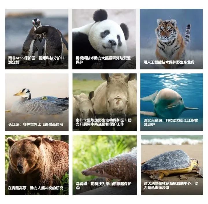多维感知+AI技术！海康威视助力生物多样性监测与保护