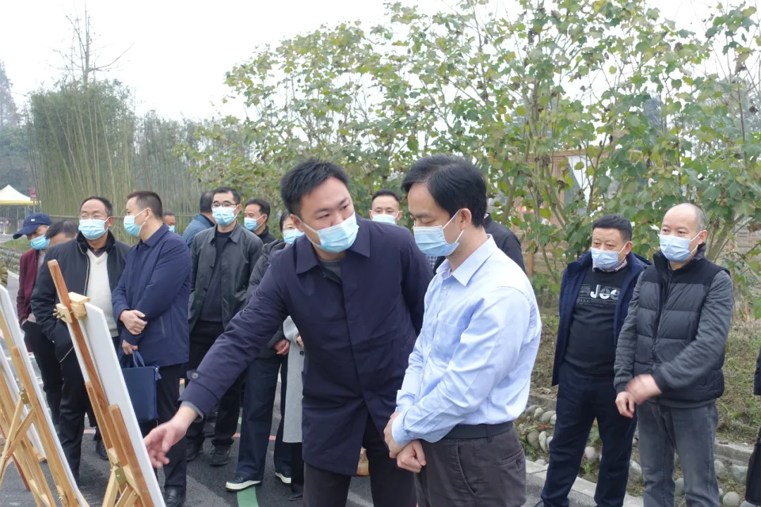 蒋蔚炜在石羊镇调研，强调要发挥中医药产业优势，全面推进乡村振兴