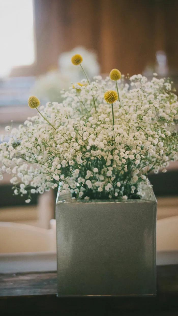 关于紫色满天星的说说配图「搞笑」 _qq说说网