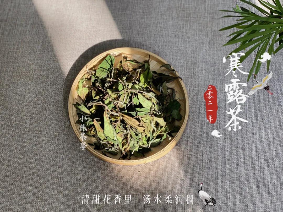 洗茶是浪费，还是衛生？老茶客搬出4个实例，好坏一次性说清