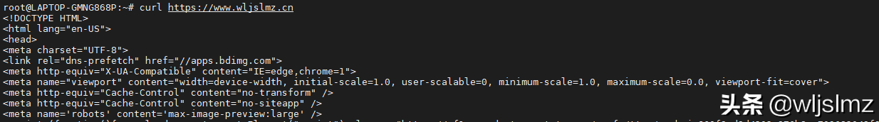 运维工程师必须知道的 11 个 Linux 网络命令