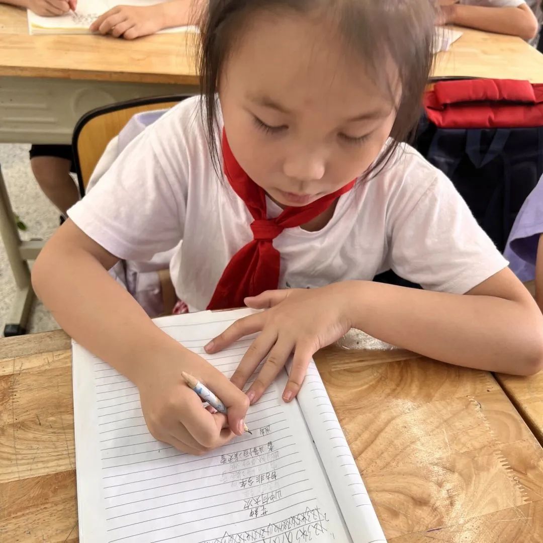 节气深耕.芒种节气｜成都高新区朝阳小学开展丰富多彩的节气活动