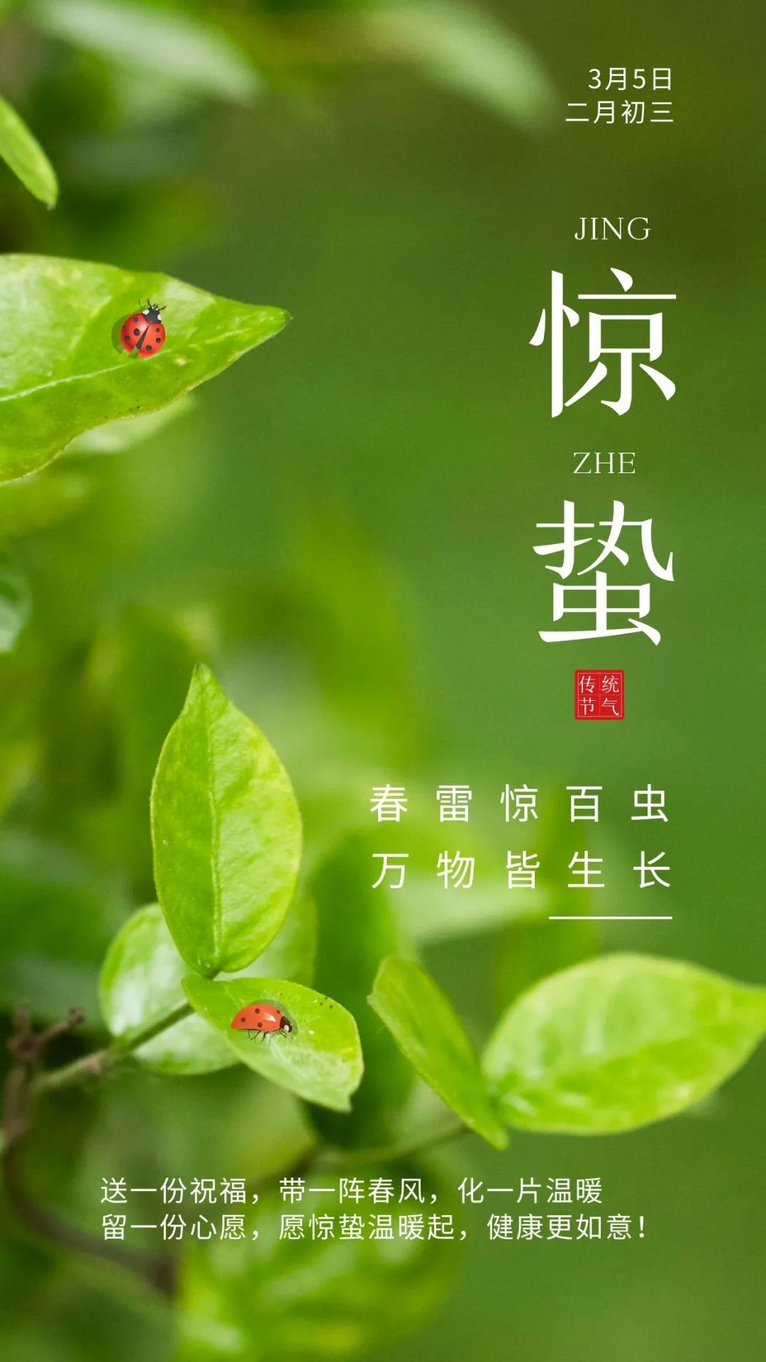 农历二月初三,迎来了二十四节气的第三个节气—惊蛰,二月节气,万物