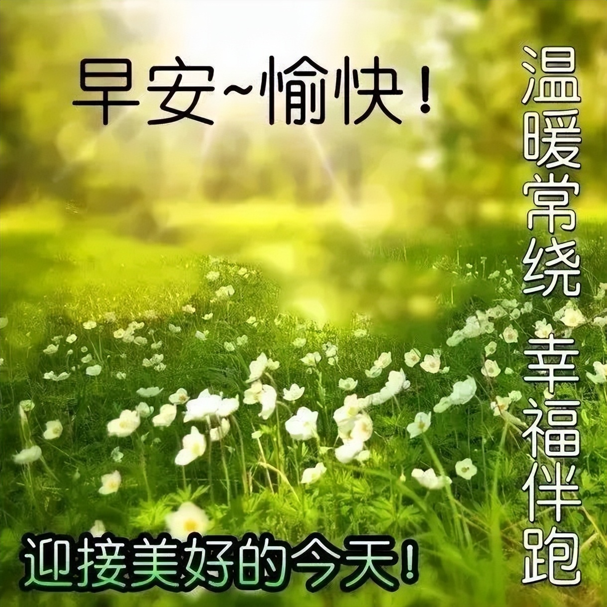 星期三朋友圈早上好祝福图片大全 早安愉快、温暖常绕、幸福伴跑图片