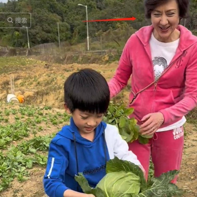 洪金宝个人资料身高体重 生活近况图片