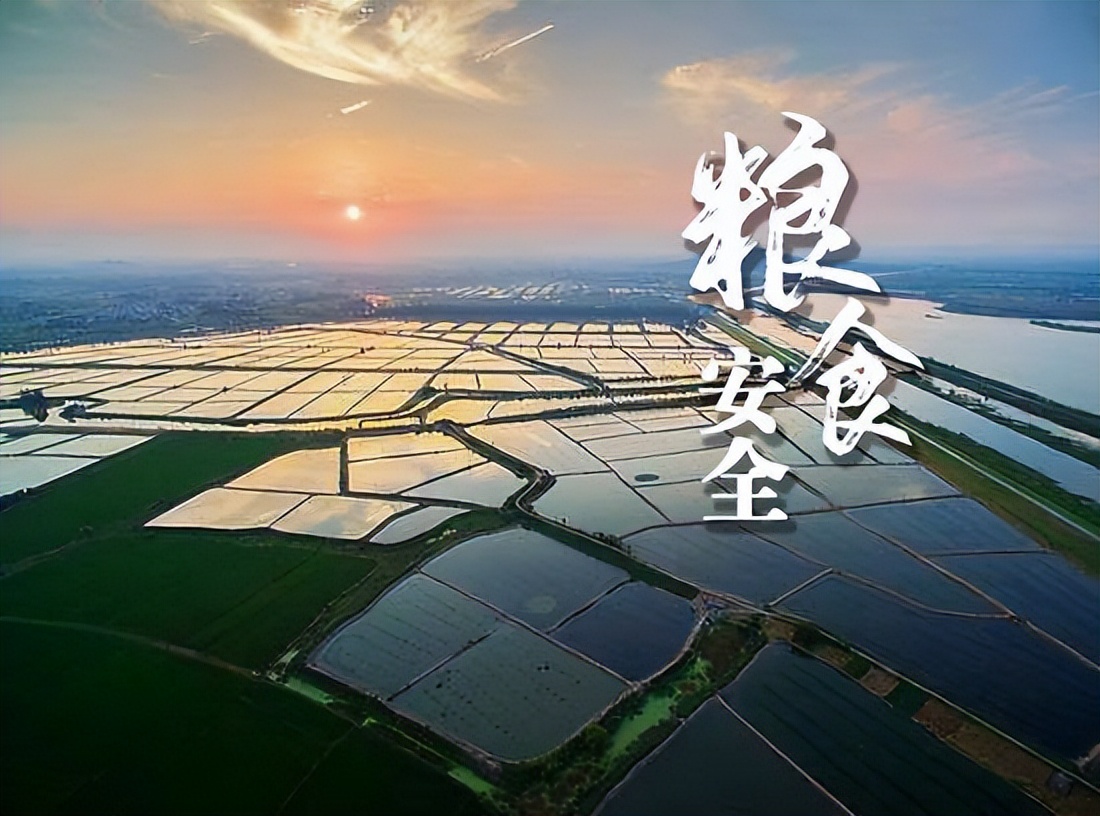 中国突然取消从美国大规模粮食进口订单，日媒给出了三个理由