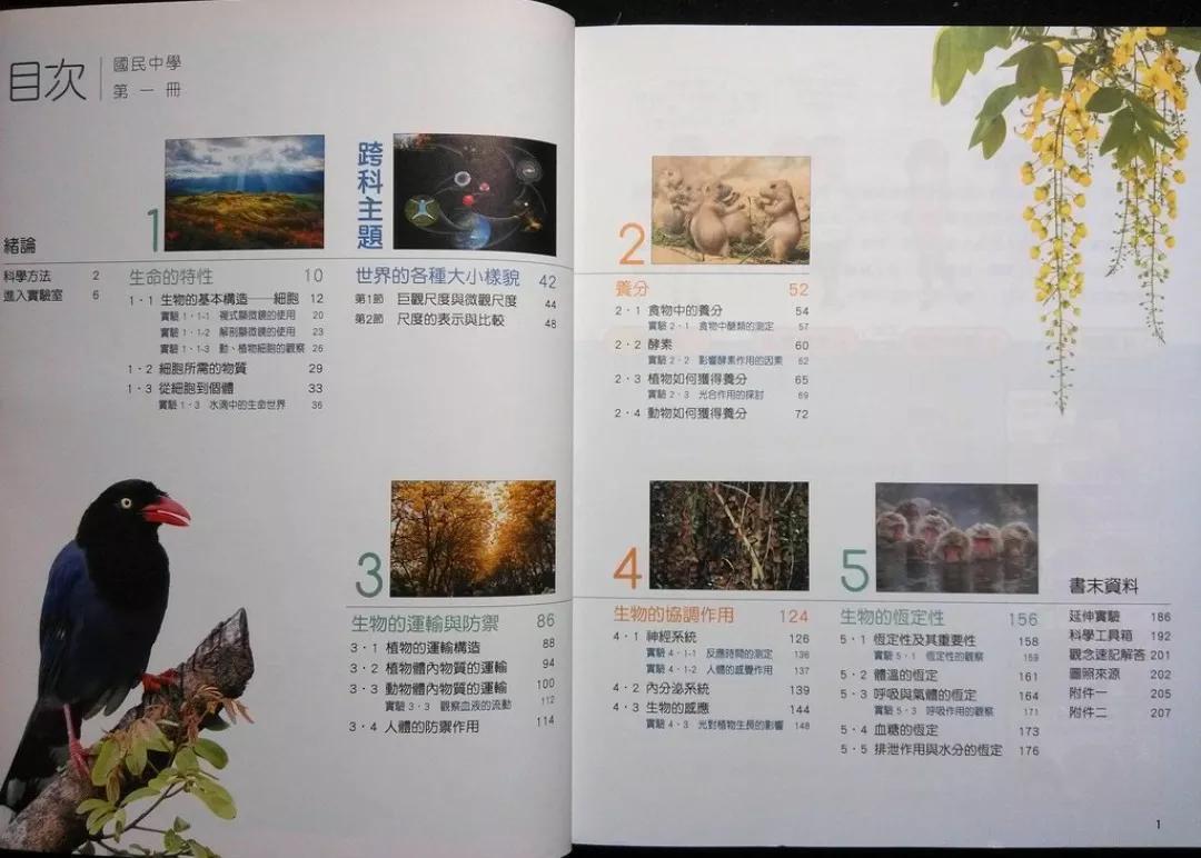 台湾读书13年和友友们分享台湾的教育制度