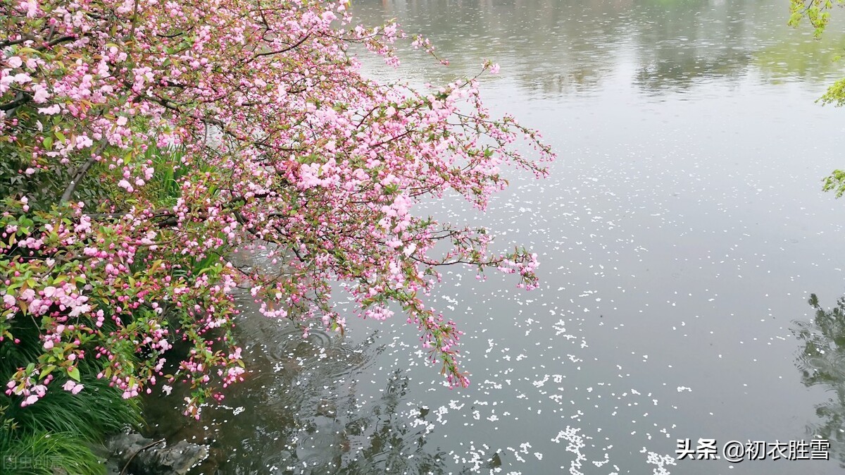 仲春花信之桃花美诗七首：路上桃花亦欢喜，恰是东风二月时