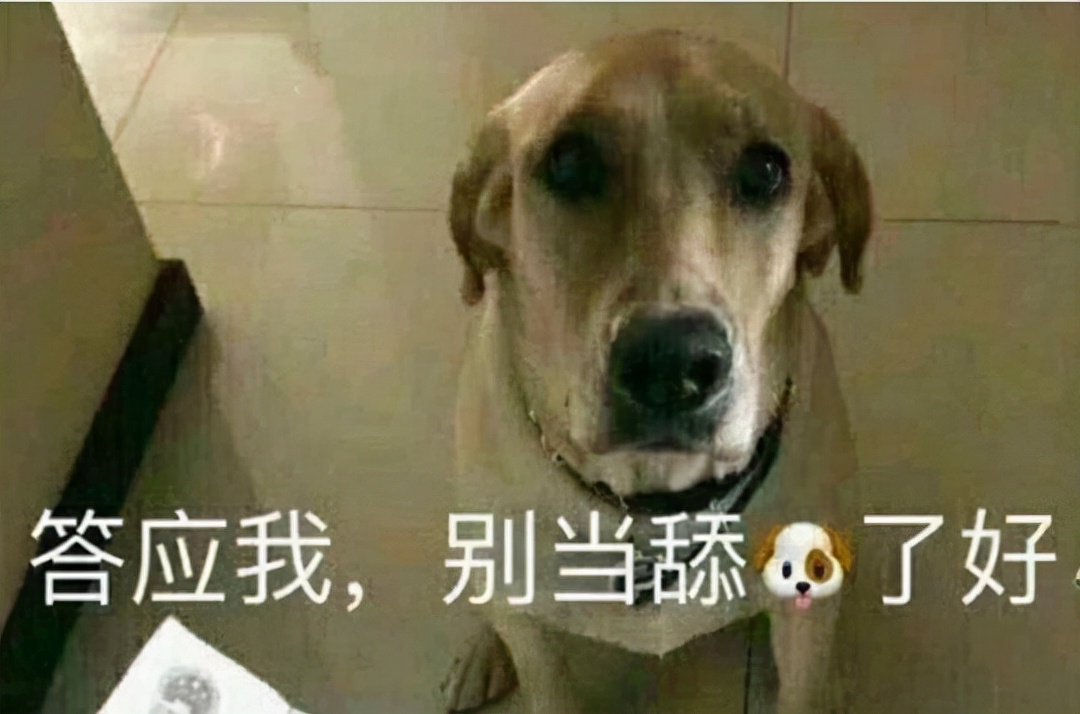 2021年游戲圈流行語，主播帶火一大半，最火的那句人已經進去了