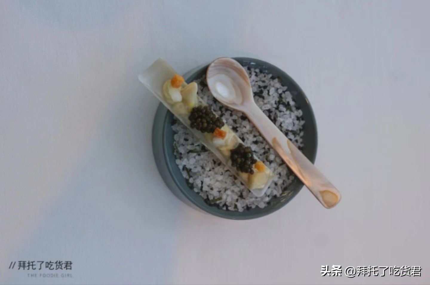 华少的综艺节目有哪些(近日微博热搜)