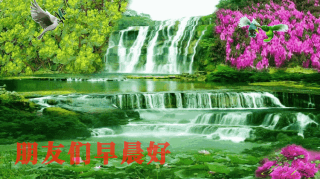 周六夏天超级漂亮的早上好祝福图片 你有多努力就有多幸运图片