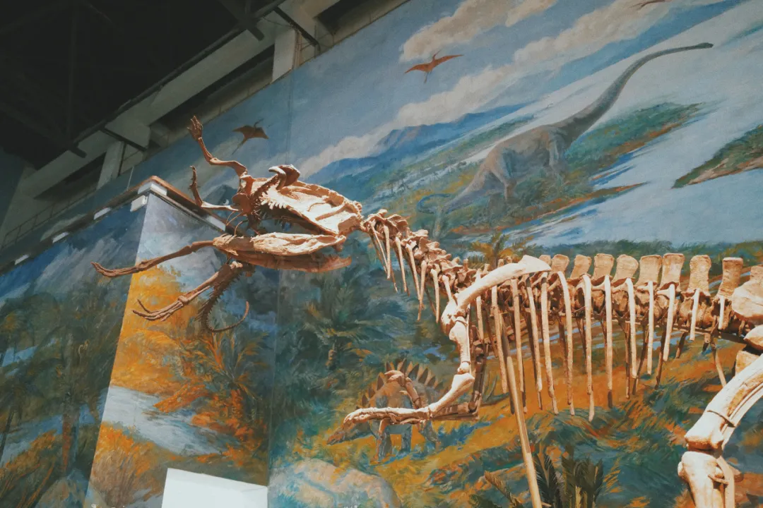 最近超火的盐帮菜之乡让我大开眼界，奇怪的知识又增加了