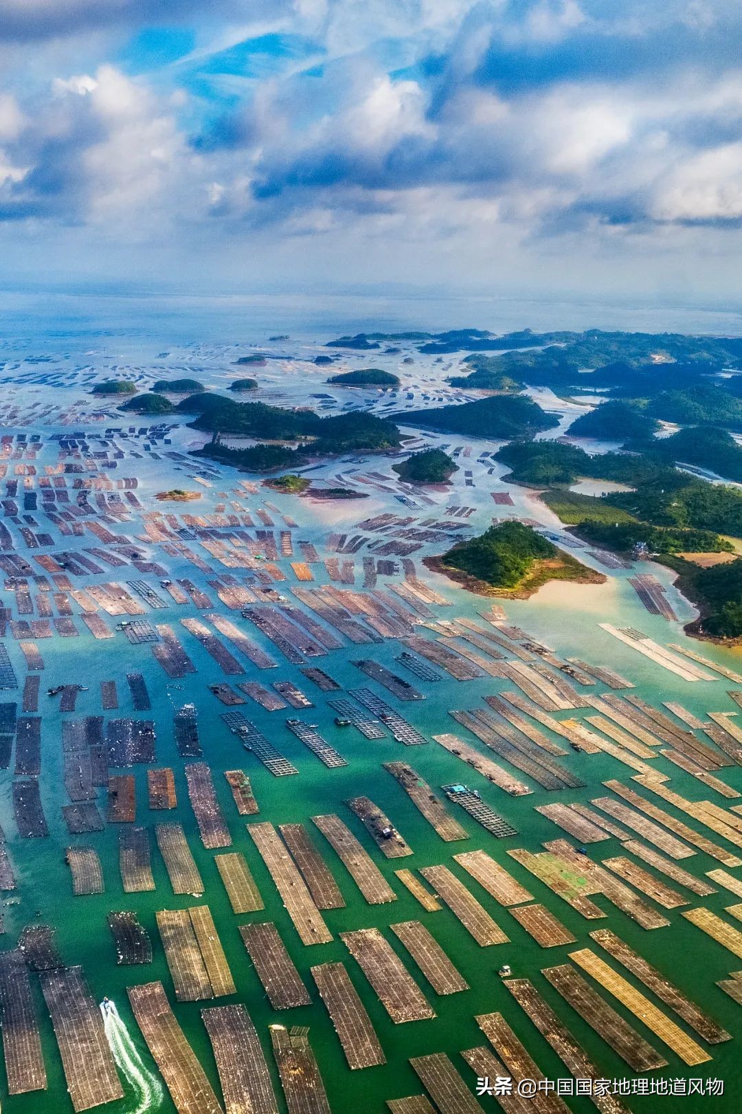 �й����ʴ�ʡ��ô�࣬����������óԣ�