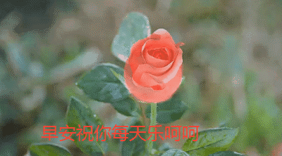 微信星期四早上好问候语及关心话 祝早上愉快 珍藏永久的友谊图片