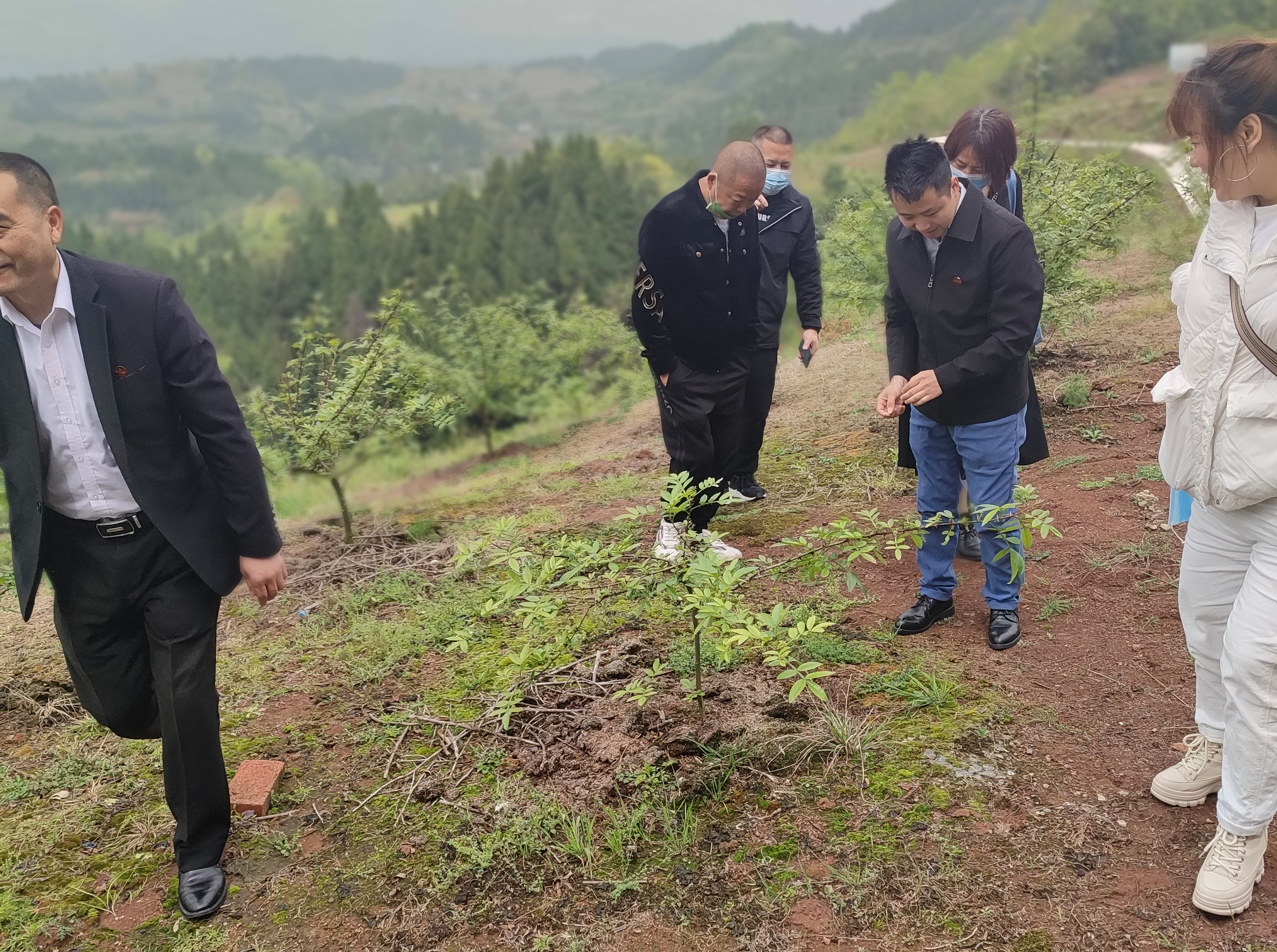 龚国林总编辑一行赴达州市开江考察雪原家庭农场产业项目