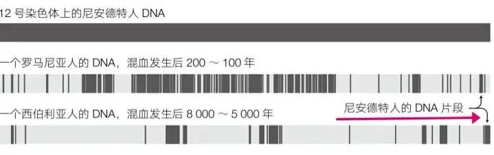 长文彻底说清楚：未来也不可能有“基因武器”（建议收藏）