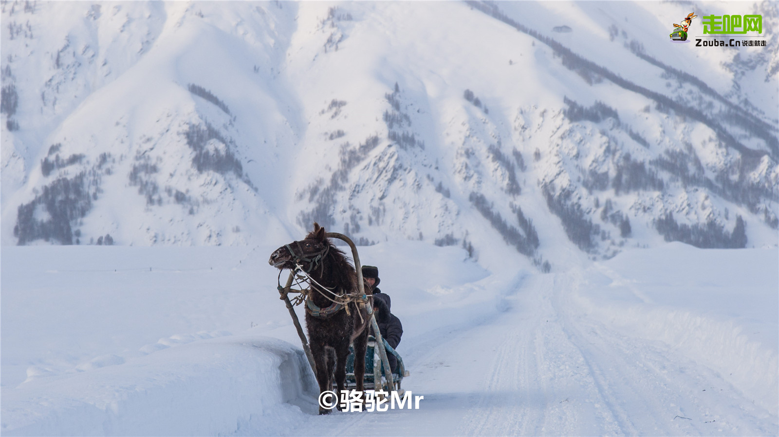 这里被称为“神的自留地”，一年有365天就美了365天，尤其在冬季