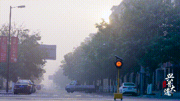 喜报 | 春风十里，请一起温柔地走进“最美街道”~